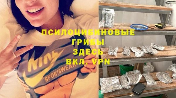 герыч Алексин