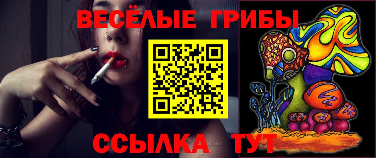 Губкин  Псилоцибиновые грибы прущие грибы  Вход с VPN 